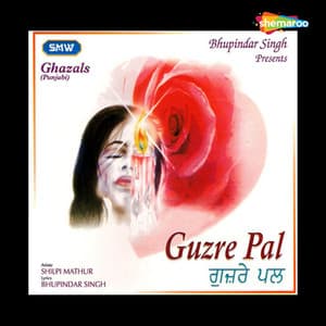 Guzre Pal - Shilpi Mathur