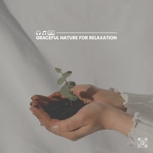 Graceful Nature for Relaxation - Tranquility Spa Universe