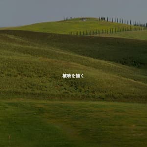 植物を描く - Early Morning Jazz Playlist