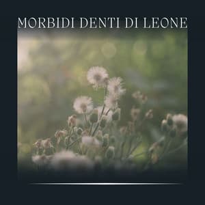 Morbidi Denti di Leone - Suoni Naturali