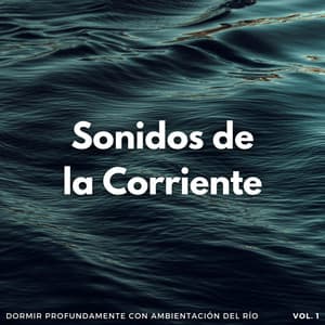Sonidos De La Corriente: Dormir Profundamente Con Ambientación Del Río Vol. 1 - Aguas Pura