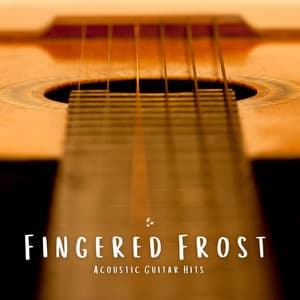Fingered Frost: Gentle Guitar Music - Acoustic Guitar Hits