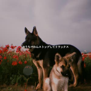 おうちでわんストップしてリラックス - Jazz Ambiental para Hoteles