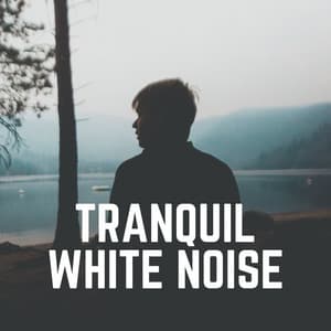 Tranquil White Noise - Ambient Nature White Noise