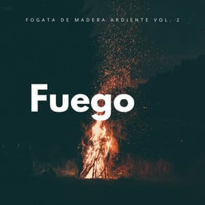 Fuego: Fogata De Madera Ardiente Vol. 2 - Fuego Ambiental