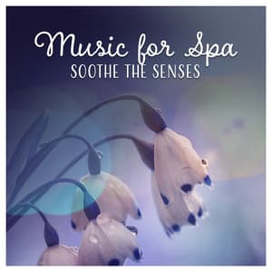 Music for Spa – Soothe the Senses - Chilling Spa Universe