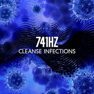 741Hz: Cleanse Infections - Dissolve Toxins, Aura Cleanse, Boost Immune System, Meditation Sleep - Lisa Enney