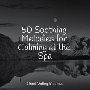 50 Soothing Melodies for Calming at the Spa - Sonidos de la Naturaleza