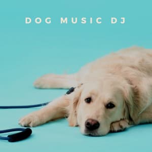 Soothing Music For Dogs - Dog Music DJ