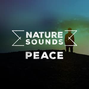Nature Sounds: Peace - Nature Sounds for Concentration