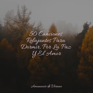 50 Canciones Relajantes Para Dormir, Por La Paz Y El Amor - Rumbas de España