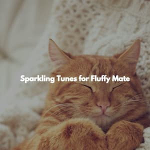 Sparkling Tunes for Fluffy Mate - Restaurant Jazz Deluxe