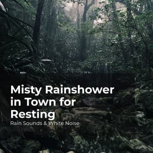 Misty Rainshower in Town for Resting - Rain Sounds & White Noise