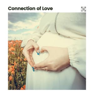 Connection of Love - Womb Sound
