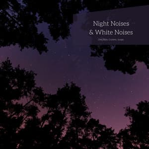 Night Noises & White Noises , Loopable - White Noise Atmospheres