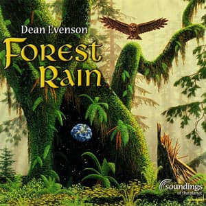 Forest Rain - Dean Evenson