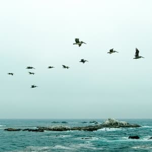 50 Beautiful Sounds to Lull You to Sleep - Study Power