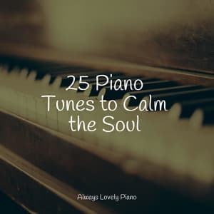 25 Piano Tunes to Calm the Soul - Musica Relajante Piano Master