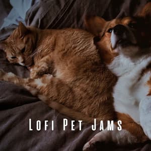 Lofi Pet Jams: Calm and Cozy Tunes for Restful Moments - Lofi Hop-Hop beats