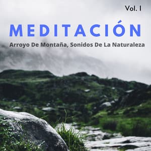 Meditación: Arroyo De Montaña, Sonidos De La Naturaleza Vol. 1 - Balneario de agua