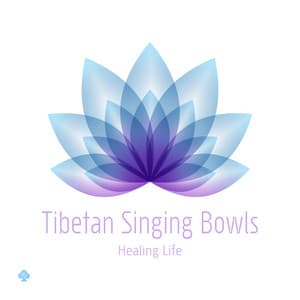 チベタン・シンギングボウルで瞑想　癒しの倍音 - ヒーリング・ライフ