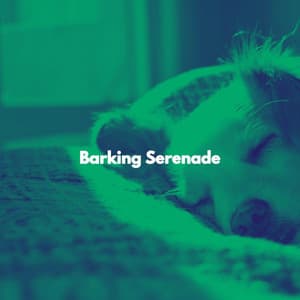 Barking Serenade - Quiet Jazz Coffee House