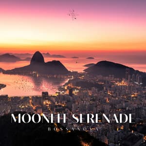 Moonlit Serenade: Coffee Shop Bossa Nova - Bossanova