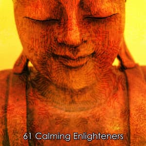 61 Calming Enlighteners - Relaxing Music Moods