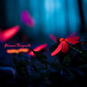 Jardín de Somnolencia - Yazmin Tranquila