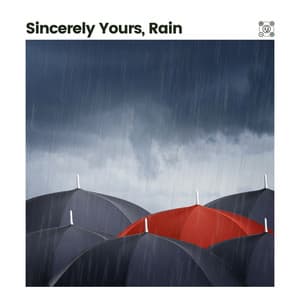 Sincerely Yours, Rain - 24H Rain Sounds