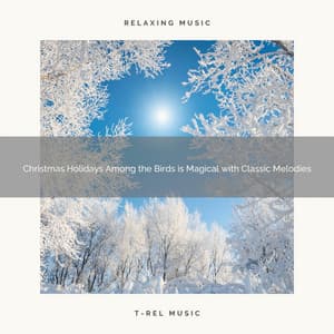Christmas Holidays Among the Birds is Magical with Classic Melodies - Water Soundscapes
