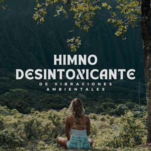 Himno Desintoxicante de Vibraciones Ambientales - Madre tierra hd