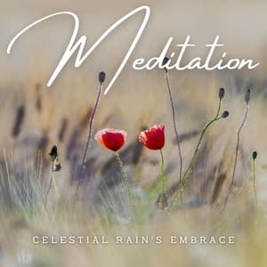 Raindrop Reverie: Ambient Meditations - Pacific Rain
