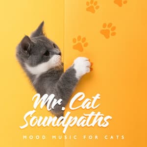 Mr. Cat Soundpaths: Mood Music for Cats - Pleasant Support for Feline Activities: Sleep, Rest and Play, Pet Care - Pet Music Doctor