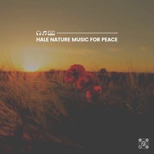 Hale Nature Music for Peace - Florida Nature