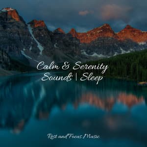 Calm & Serenity Sounds | Sleep - Deep Focus