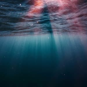 Tidal Tranquility: Nature's Chill Lullabies - Tranquil Serene