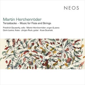 Martin Herchenröder: Music for Flute & Strings - Martin Herchenroder