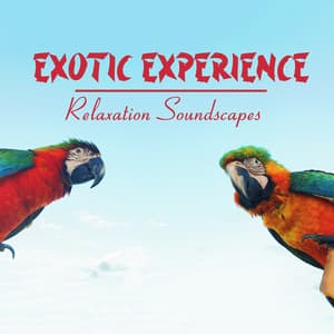 Exotic Experience - Relaxation Soundscapes and Meditation with Wild Animals - Exotic Area Zen