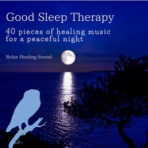 Good Sleep Therapy - 40 pieces of healing music for a peaceful night - RelaxHealingSound
