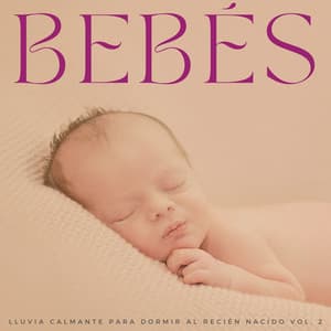 Bebés: Lluvia Calmante Para Dormir Al Recién Nacido Vol. 2 - Estudio de sonido de lluvia