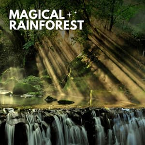 Magical Rainforest - Soft Soundscapes