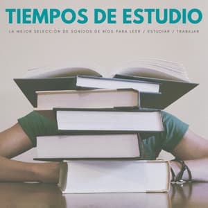 Tiempos De Estudio: La Mejor Selección De Sonidos De Ríos Para Leer / Estudiar / Trabajar - Música de concentración profunda