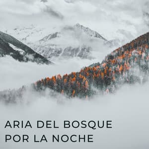 Aria Del Bosque Por La Noche - Efectos especiales del bosque
