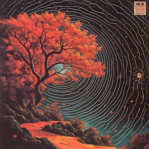 Solivagant Nightscapes - Music for Sleep