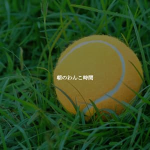 朝のわんこ時間 - New York City Jazz Club