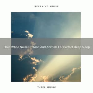 Hard White Noise Of Wind And Animals For Perfect Deep Sleep - Dreamy White Noise