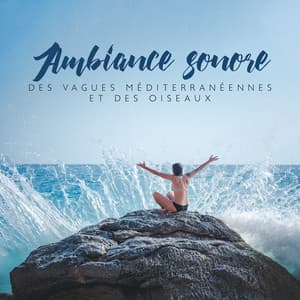 Musique de relaxation nature: Ambiance sonore des vagues méditerranéennes et des oiseaux - Healing Ocean Waves Zone