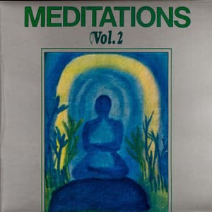 Meditations Vol. 2 - Joel Vandroogenbroeck