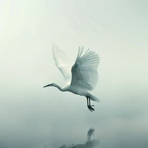 Calma Del Arroyo: Aves Binaurales Para La Relajación En La Naturaleza - 80 88 Hz - Relajacion